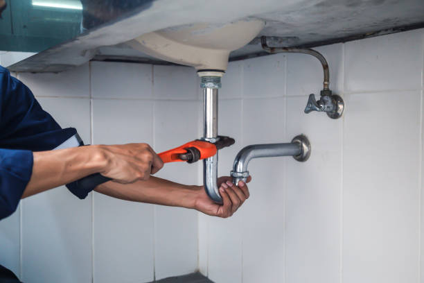 Best Commercial Plumbing Services  in La Harpe, IL