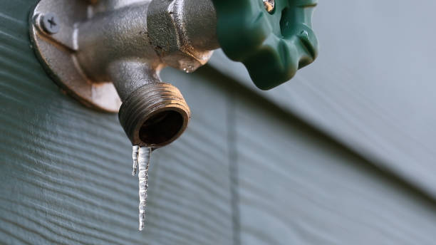 Best Clogged Drain Plumber  in La Harpe, IL