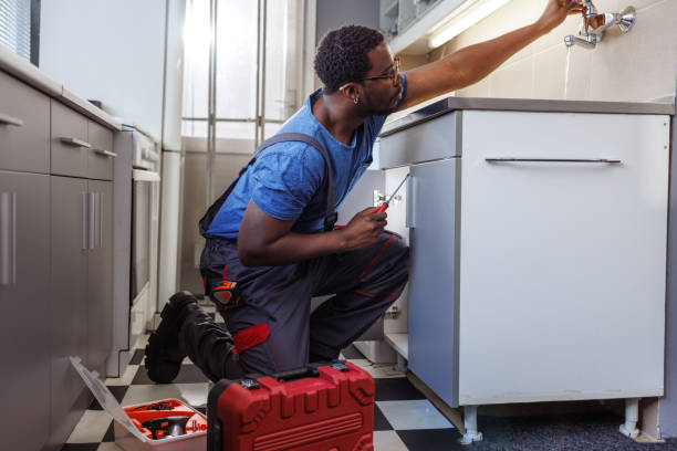 Best Commercial Plumbing Services  in La Harpe, IL