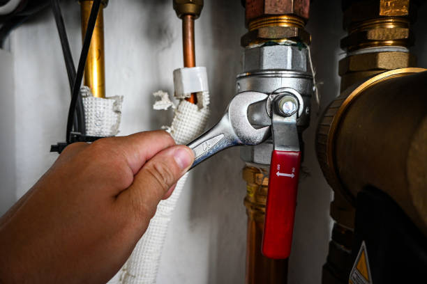 Best Plumbing Inspection Services  in La Harpe, IL